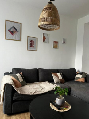 Appartement Cosy Valenciennes